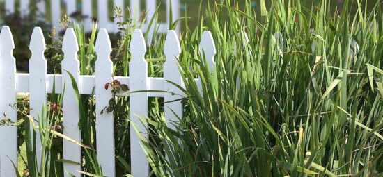 Build A Simple & Small Garden Fence (Low Cost Ideas) • The Garden Glove