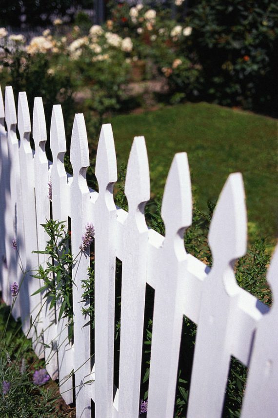 Build A Simple & Small Garden Fence (Low Cost Ideas) • The Garden Glove