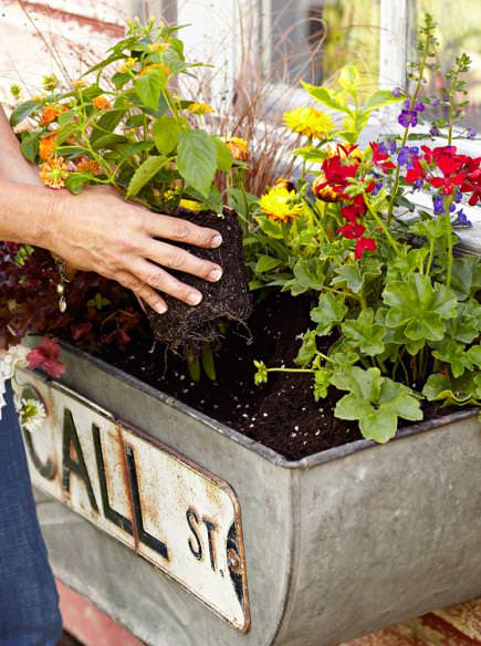 Read This Before You Wash Another Plant Pot – Garden Betty