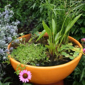 Going on Vacation? 3 DIY Self Watering Ideas for the Garden | The