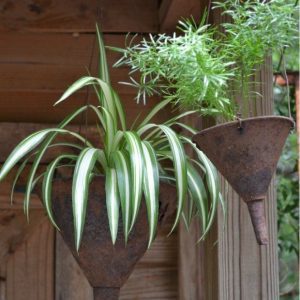 Artsy & Upcycled Plant Container Ideas