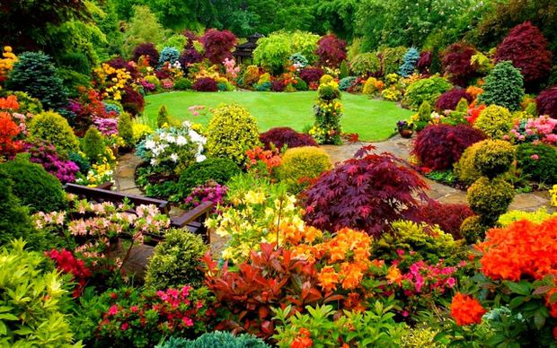 Beautiful Backyard Garden Ideas & Inspiration • The Garden Glove
