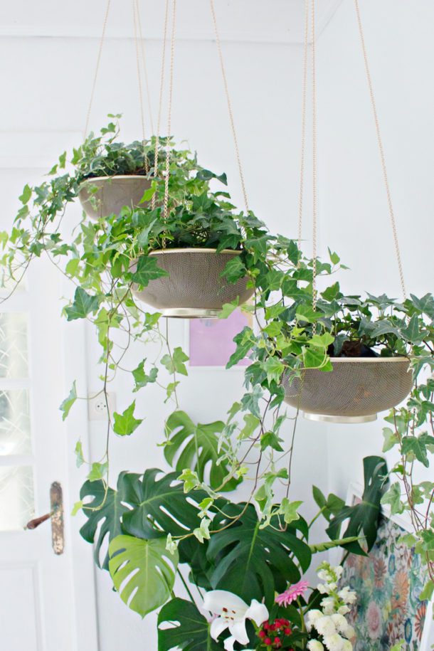 DIY Indoor Hanging Planters that Add Style to your Space • The Garden Glove