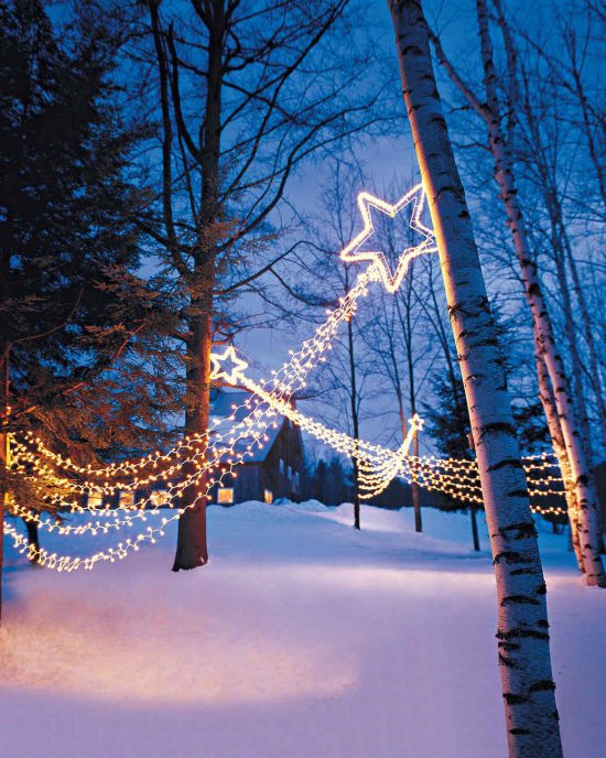 Genius Outdoor Christmas Light Ideas • The Garden Glove