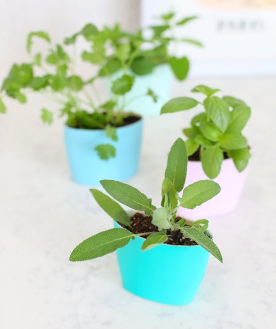 14 Brilliant DIY Indoor Herb Garden Ideas