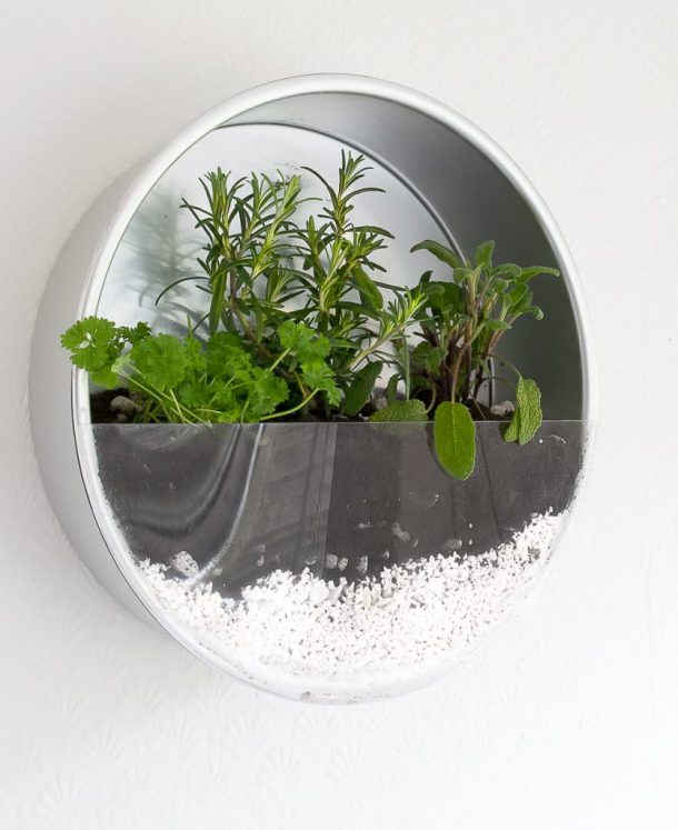 14 Brilliant DIY Indoor Herb Garden Ideas • The Garden Glove