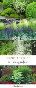 Garden Design : Using Texture in the Garden • The Garden Glove