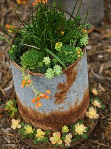 More Unique Garden Containers You Never Thought Of... • The Garden Glove