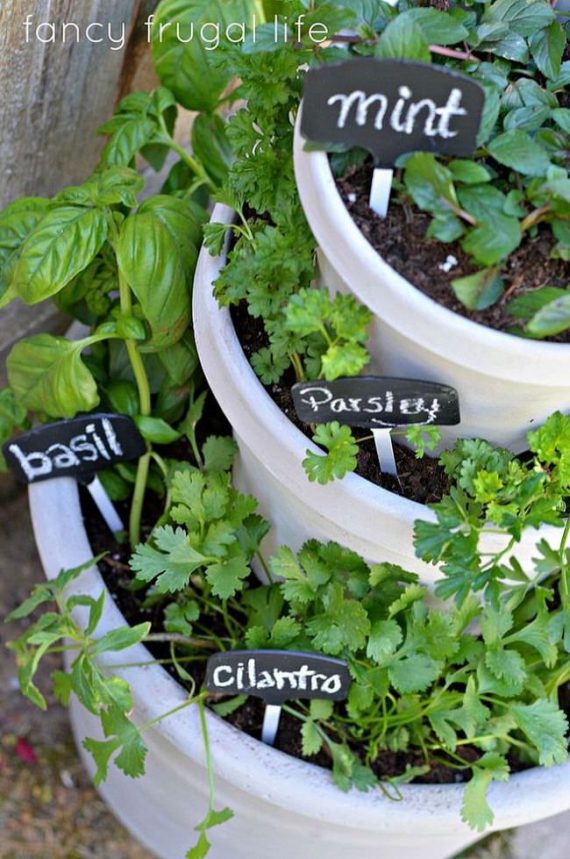 Creative Outdoor Herb Garden Ideas • The Garden Glove