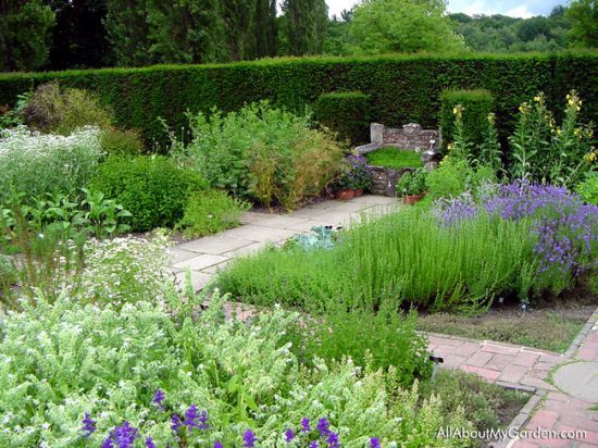 Outdoor Herb Gardens- Pathway