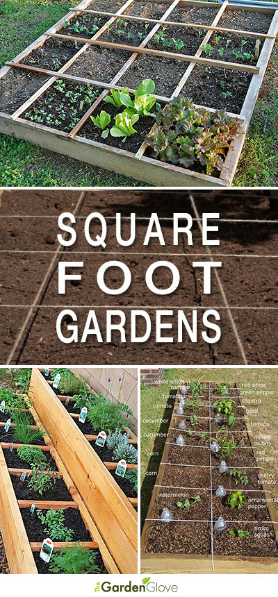 Easy Steps To Square Foot Gardening Success | The Garden Glove