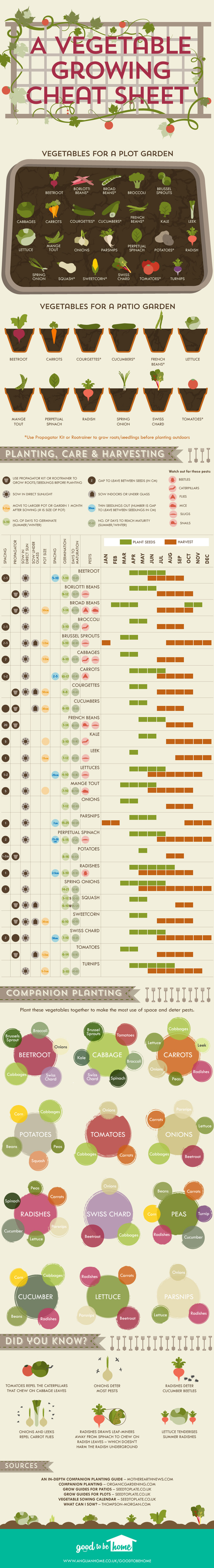 Your Personalised Vegetable Growing Cheat Sheet - Bank2home.com