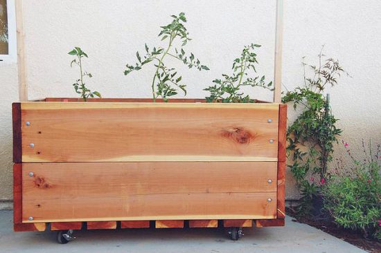 Container Herb Garden Ideas