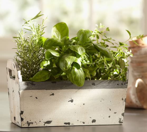 Insanely Cool Herb Garden Container Ideas • The Garden Glove