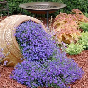 How to Add Whimsy to Your Garden