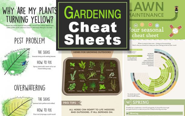 cheat sheet for gardenscapes