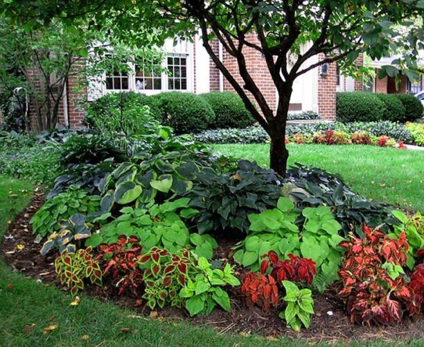 Landscape Island Ideas Garden Bed Design The Garden Glove   Landscape Island Ideas Garden Beds 21 612x500 