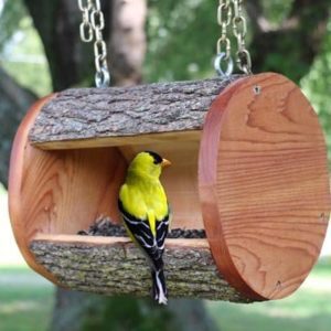 https://www.thegardenglove.com/wp-content/uploads/2017/01/yard-bird-feeder-cedar-300x300.jpg