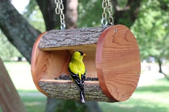 Creative DIY Bird Feeders