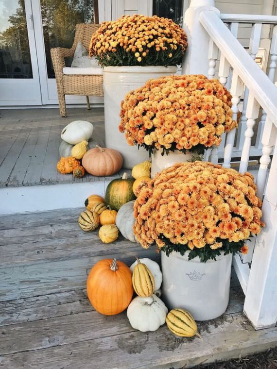 Fall Planter Ideas - Wow 'Em In 3 Easy Steps • The Garden Glove