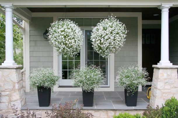 Hanging Baskets 5 Secrets The Pros Use 32 610x404 