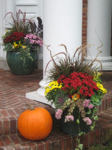 Fabulous Fall Container Ideas • The Garden Glove