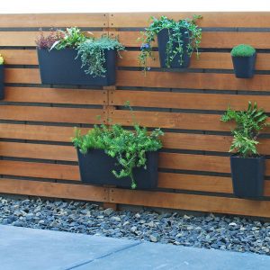 Easy & Amazing DIY Modern Living Plant Wall