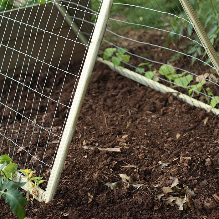 Build a Chic and Easy DIY Garden Trellis | The Garden Glove