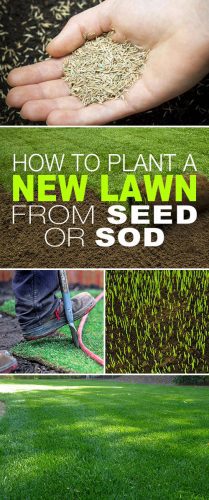 How To Plant A New Lawn From Seed or Sod • The Garden Glove