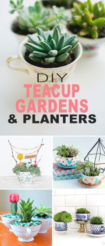 DIY Teacup Gardens and Planters • The Garden Glove