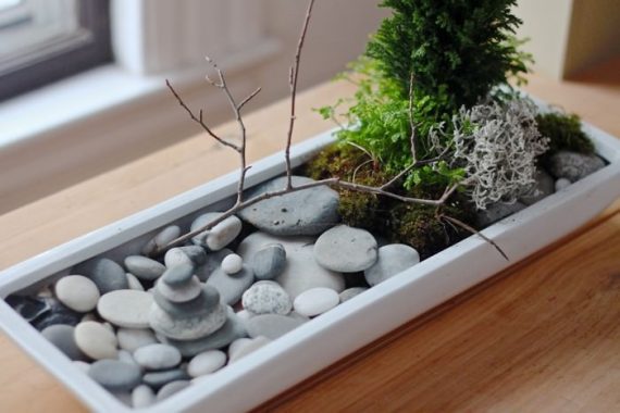 make-your-own-diy-mini-zen-gardens-the-garden-glove