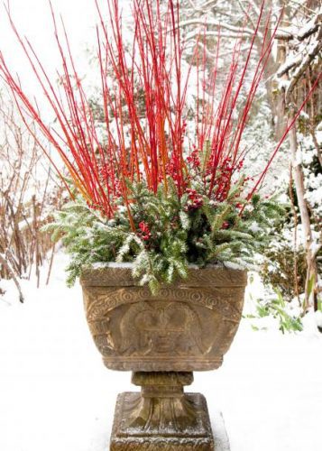 How to Make Winter Garden Planters • The Garden Glove