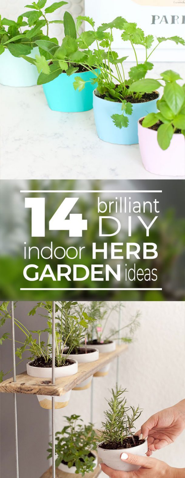 14 Brilliant Diy Indoor Herb Garden Ideas • The Garden Glove