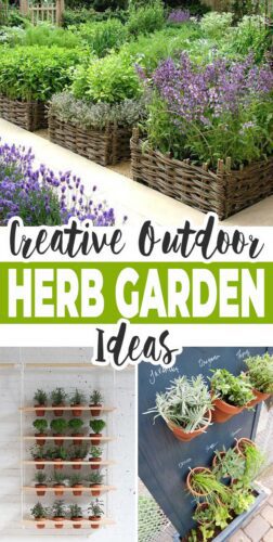 Creative Outdoor Herb Garden Ideas • The Garden Glove