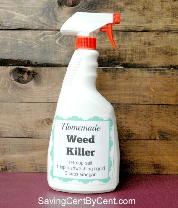 Surprisingly Effective Homemade Weed Killer Recipes: DIY Solutions that ...