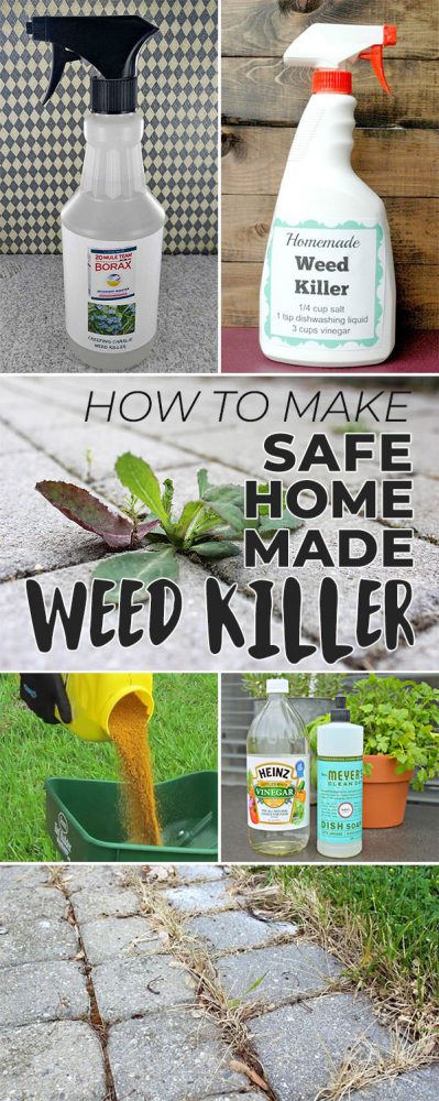 How to Make Natural & Safe Homemade Weed Killer • The Garden Glove