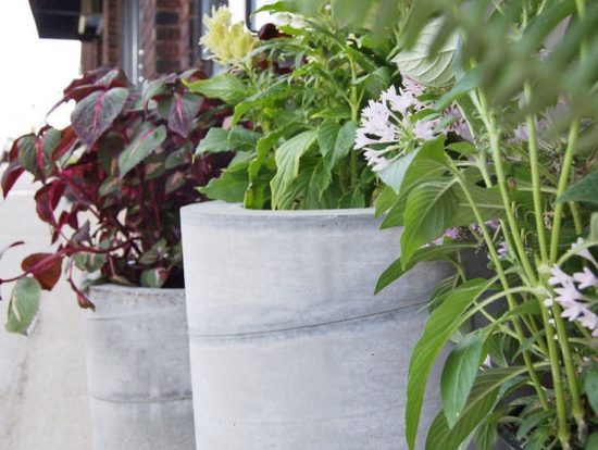 DIY concrete garden planters