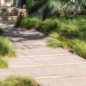 concrete pavers and native grasses being used as alternative to grass