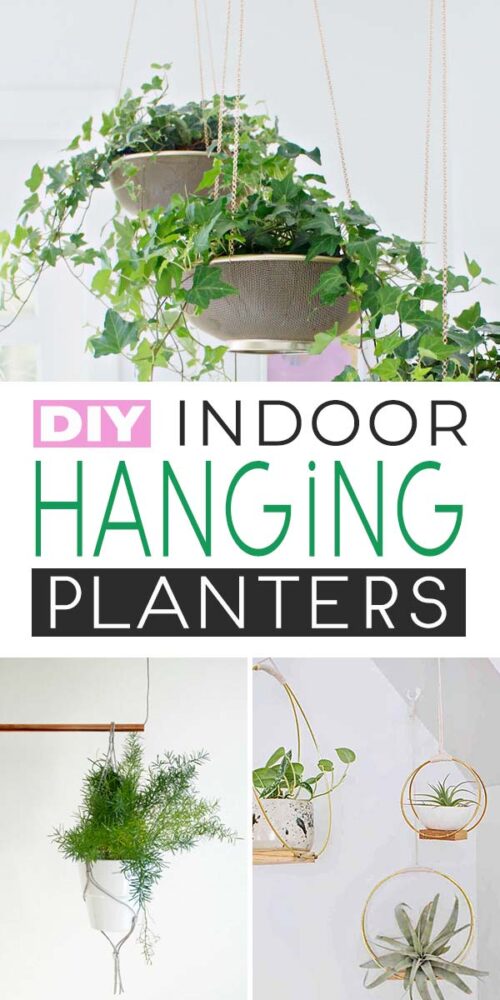 DIY Indoor Hanging Planters that Add Style to your Space • The Garden Glove