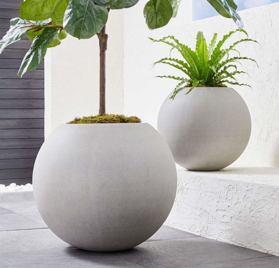 Best Places to Buy Concrete Planters Pots Online