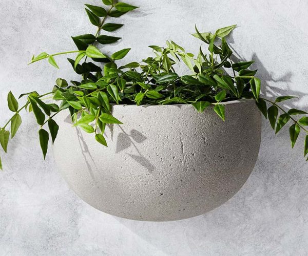 Best Places To Buy Concrete Planter Pots Online • The Garden Glove