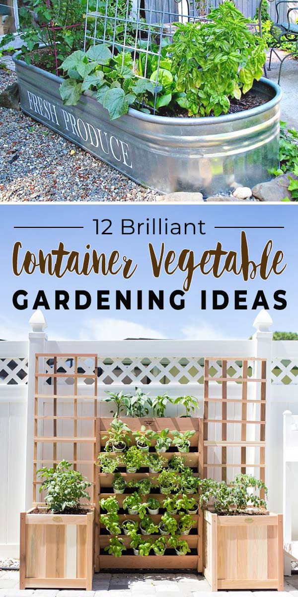 Container Gardening with Vegetables - Gasper Landscape Design & Construction