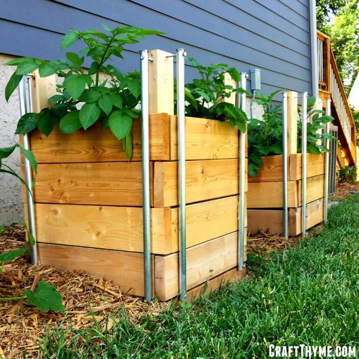 12 Container Vegetable Garden Ideas – Home and Garden