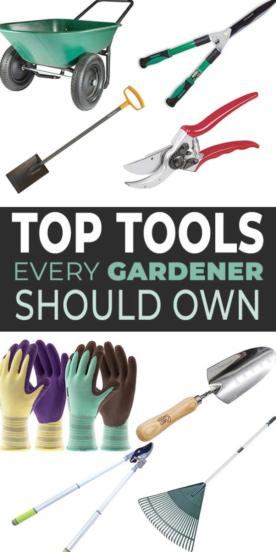 Gardening Tools List With Pictures And Their Uses Pdf - Gardening Tools and their Uses TLE 6