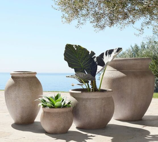 Best Places To Buy Concrete Planter Pots Online • The Garden Glove