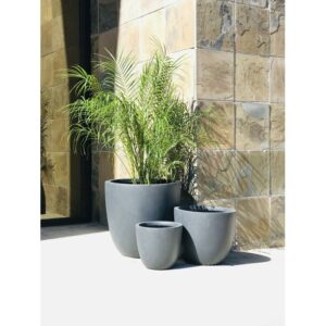 Best Places to Buy Concrete Planter Pots Online • The Garden Glove