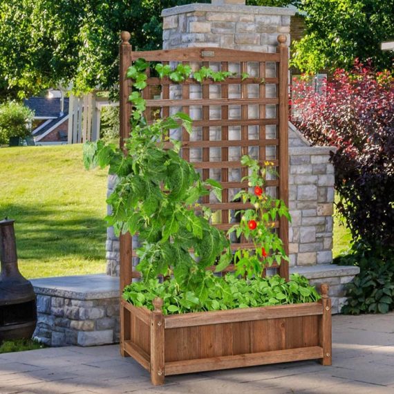 DIY Outdoor Screens and Backyard Privacy Ideas • The Garden Glove