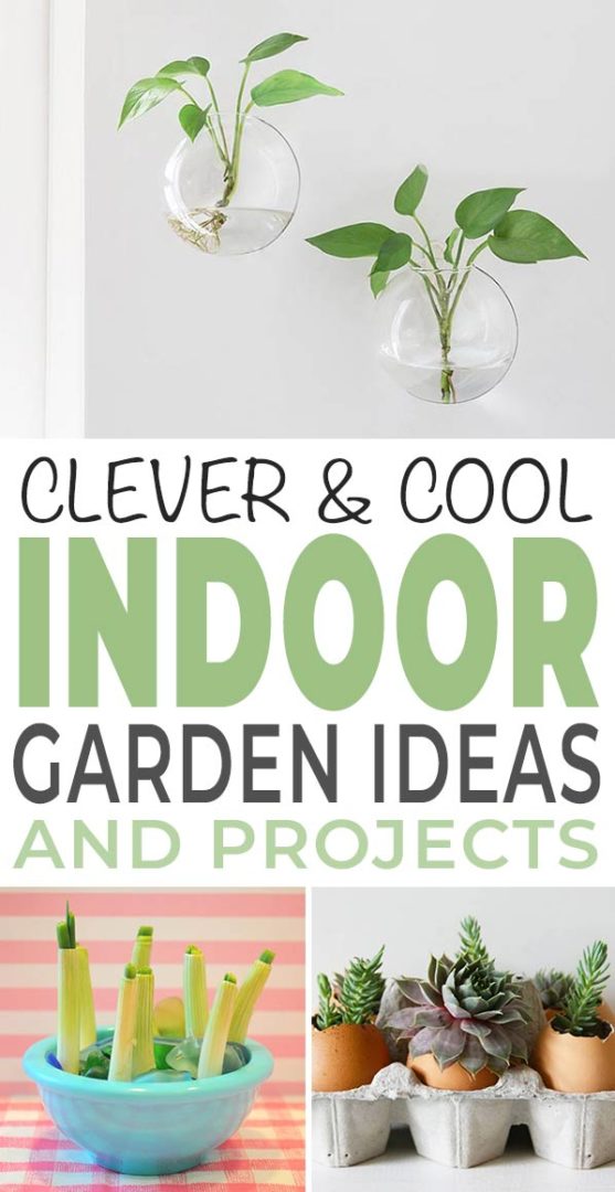 Clever & Cool Indoor Garden Ideas & Projects • The Garden Glove