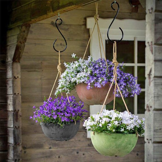 Hanging Flower Baskets : 5 Secrets the Pros Use