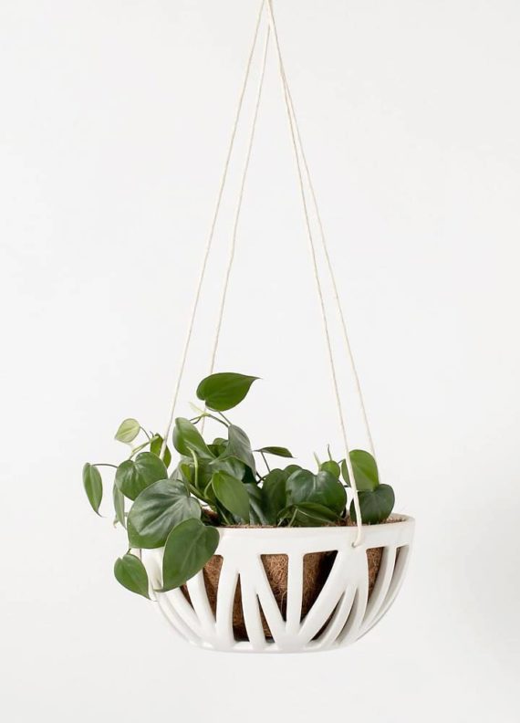 Hanging Flower Baskets : 5 Secrets the Pros Use